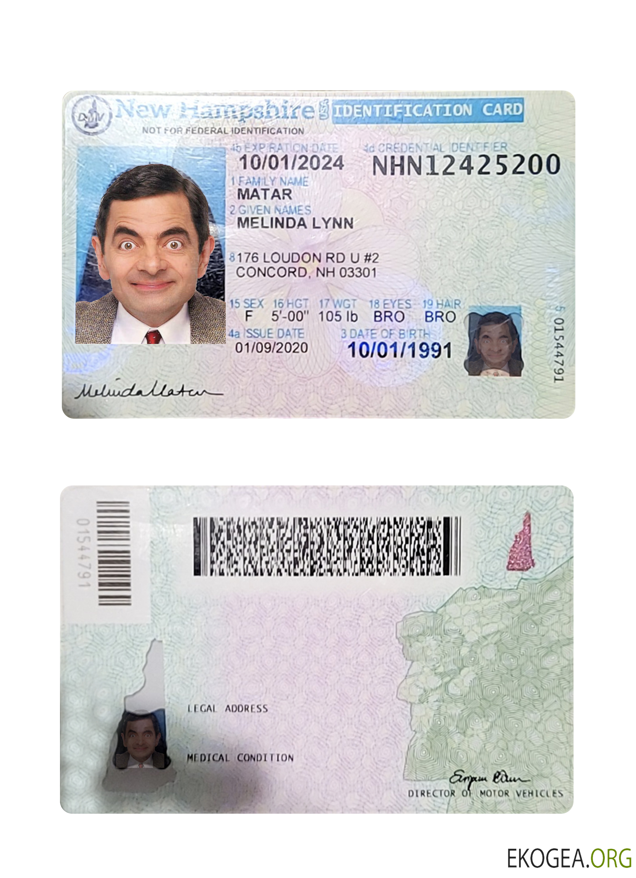 Carte d'identité du New Hampshire aux États Unis